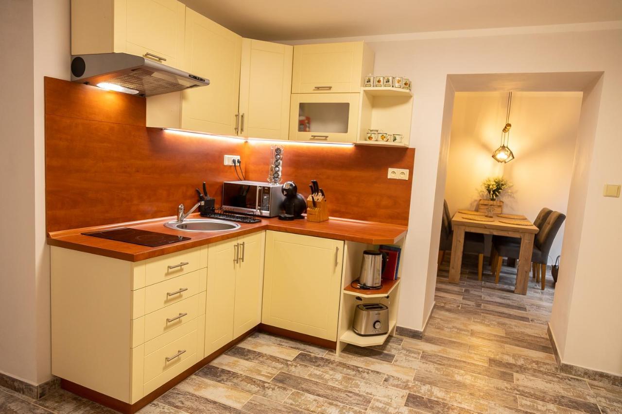 Prazdninovy Dum Valdik Villa Loket ภายนอก รูปภาพ